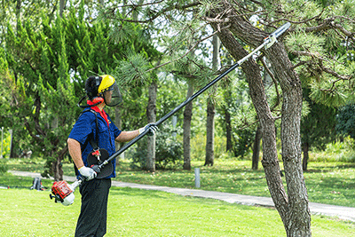 1756967227477488.png 圖片2.png